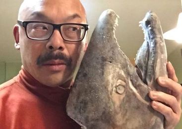 One Man's Quest to Convince Americans to Eat Shad Again