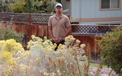 Want to save time and money? Kill your lawn and embrace drought-resistant plants