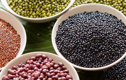 The 5 Best—and 5 Worst—Meat Substitutes for Vegetarians