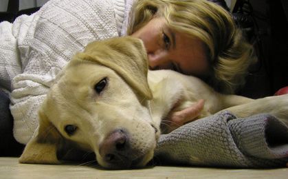 8 Early Warning Signs of Canine Cancer that Dog Owners Can’t Ignore