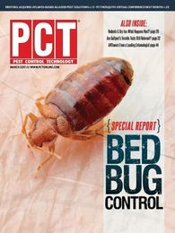 The Dry Ice Challenge: What Happens Next?