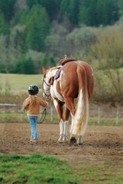 ABCs for Teaching Tyke Riders Part 1: Getting Started