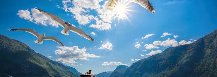 Can You Fish on a Cruise Ship?