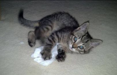 The Title Of This Court Filing Will Amaze You!