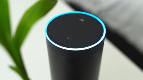 How your voice will help you understand data analytics