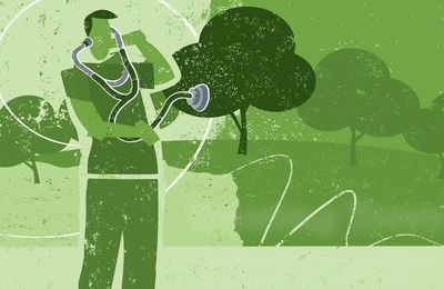 Treating Trees with Foundational Turf Strategies