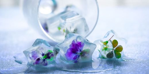 4 Delicious and Easy Ways to Infuse Ice 