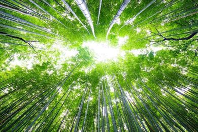 50 Uplifting Quotes about Change and Growing Up