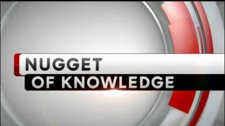 Nugget of Knowledge: Run or walk in the rain?