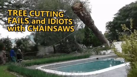 Tree cutting fails and idiots with chainsaws. FAIL COMPILATION. Part 3
