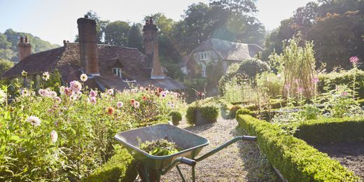 13 Mistakes That Drive Professional Landscapers Crazy