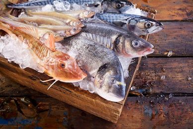 Fishy business: AIMPLAS to make polyamides from rotted raw fish
