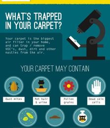 How Clean Is Your Carpet?
