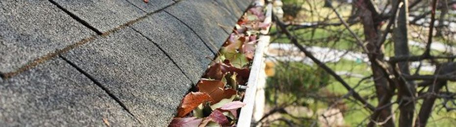 Robots Can't Clean Your Gutters