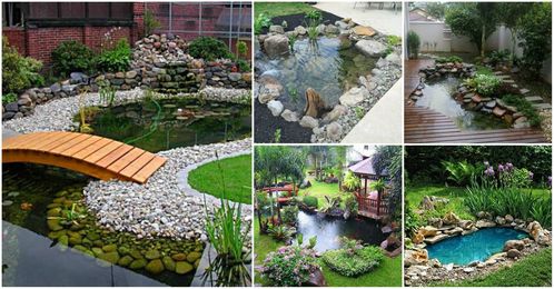 Beautiful Garden Ponds That Will Catch Your Eye