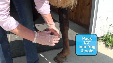 How To Apply Hooflex Magic Cushion