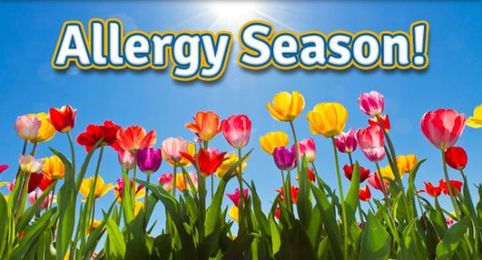 Professional Rug, Carpet and Furniture Cleaning Can Help Remove Allergens