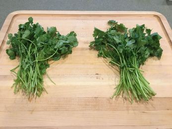 Will this plastic bag trick help preserve fresh herbs for longer?