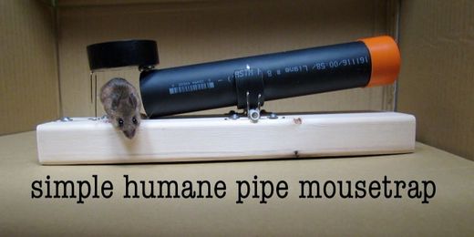 Make a Non-Lethal Mouse Trap From a Few Hardware Store Parts