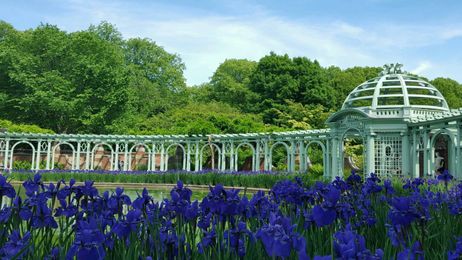 Stop & Smell the Flowers at 7 Long Island Gardens