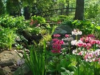 13 must-see botanical gardens