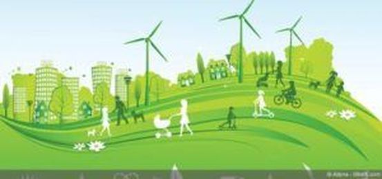 Going Green: The Winding Path to Net Zero