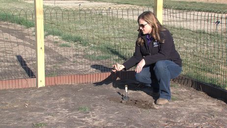 🎥 Green and Growing:  Working Garden Soil