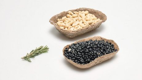 Student Invents Biodegradable Packaging From Seagrass That Washes Up on Beaches