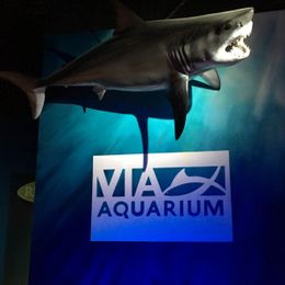 The sea is as near as we come to another world