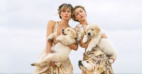 13 Products to Pamper Your Pooch in Style