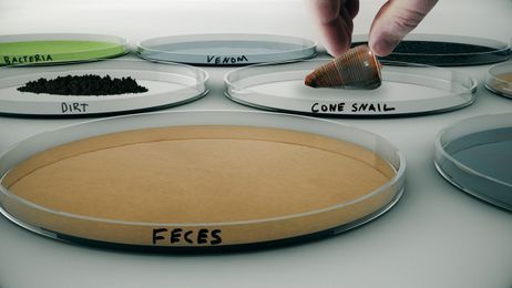 5 weird things medical researchers collect for science