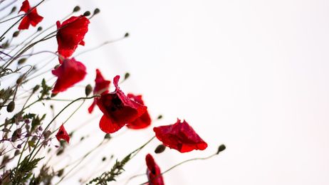 Can We Finally Kill the Myth About Women’s Periods Syncing Up?