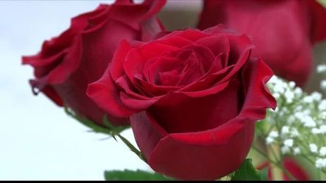 Flower arrangements may send hidden messages to the one you love