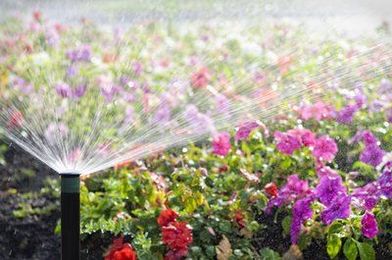 Irrigation Sensors: Good Better Best