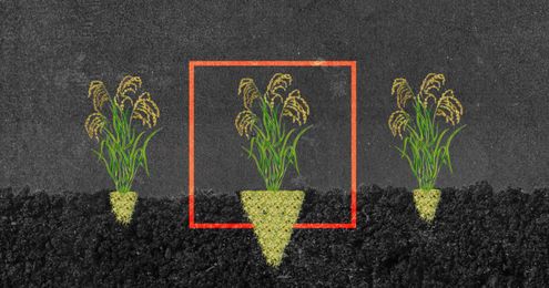 A Crucial Climate Mystery Hides Just Beneath Your Feet