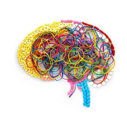 Adult Neuroplasticity : Teaching an Old Brain New Tricks