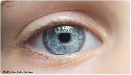Growing an eye for transplantation: potentials and pitfalls