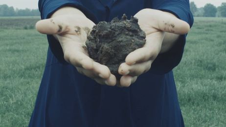 Is Cow Manure Clothing the Next Big Apparel Trend?