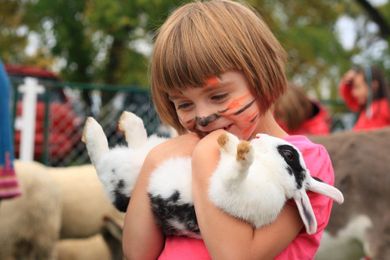 Petting zoos are gaining popularity in the UAE, but are they ethical?