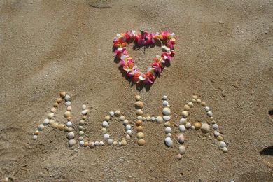 Shouldn't Hawaiian Airlines reimburse me for all of my expenses?