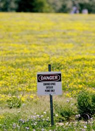 These are some of the world’s worst environmental disasters 