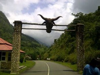 Obudu Cattle Ranch: All You Need Know