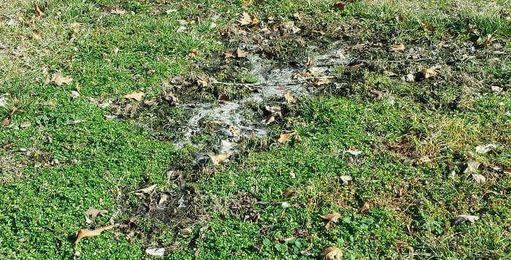 When a Septic Tank Needs Pumping