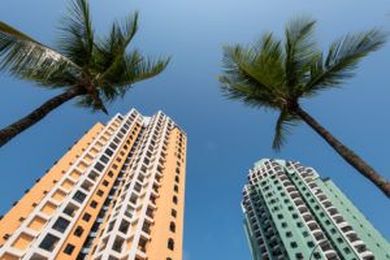 Can My Condominium Association Remove Palm Trees?