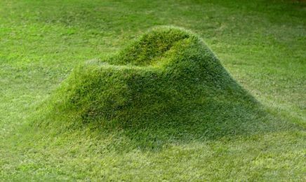 'Grow your own chair' project challenges the consumption of materials