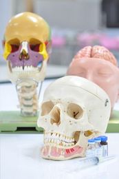 Medical lab sciences program is a good discovery for students |