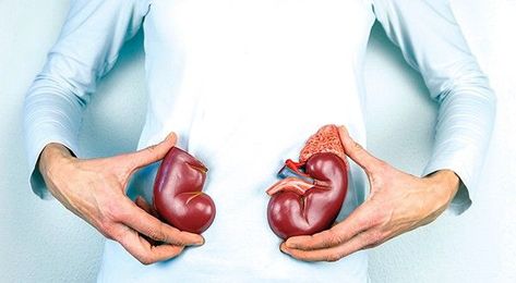 Nephrology social workers fill many roles