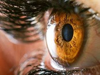 Retina cells may help in treating jet lag, says research