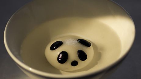Review: It's a Panda Dumpling. How Can You Not?