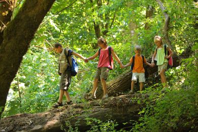 Why you should send your child to summer camp